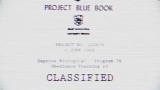 Progetto blue book