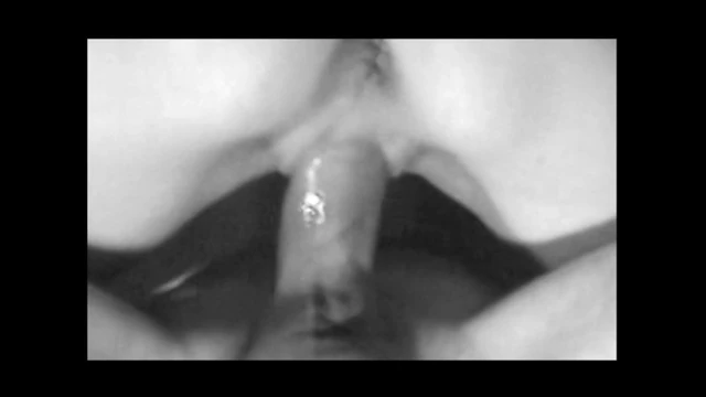 FILMED IN FRONT OF MY SUBMITTED