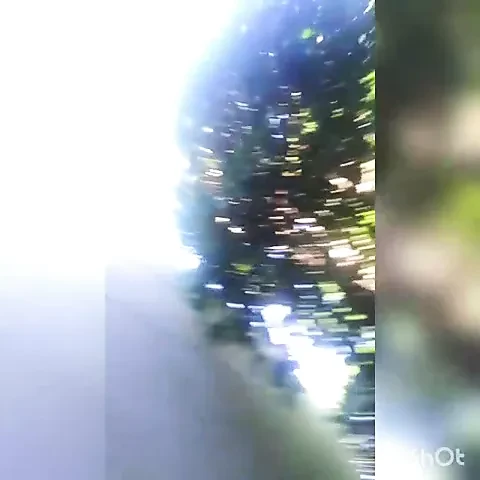 Memphis OG and hot India thot freaking outside with cumshot