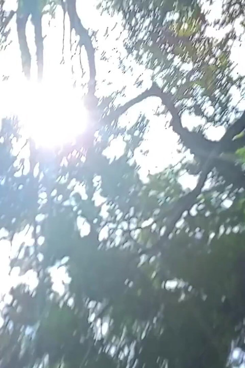 Vlog seks sallama penisi daha uzun yapıyor