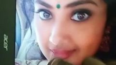 Meena jihoindická milf herečka vzdává hold 2