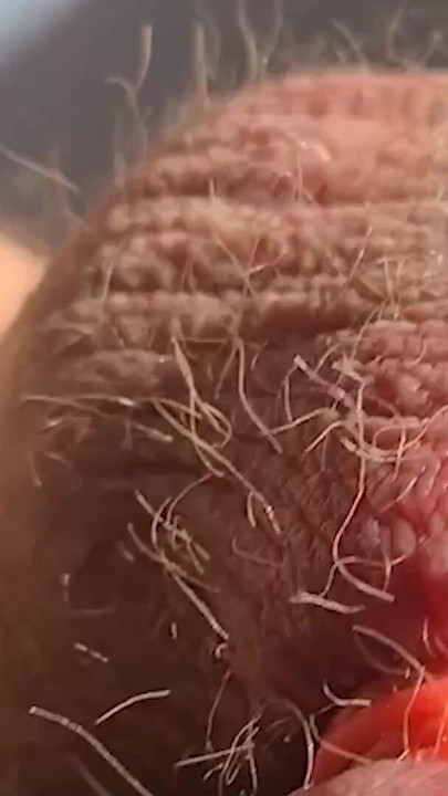 Unforgettable moment from "Thick, fat, hard banded cock comes without squirting during horny banding session"