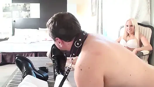 Licking shoes to be glossy