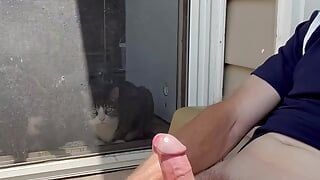Stroking My Big Cock in the Sun on the Back Porch