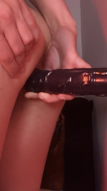 Pregled videozapisa