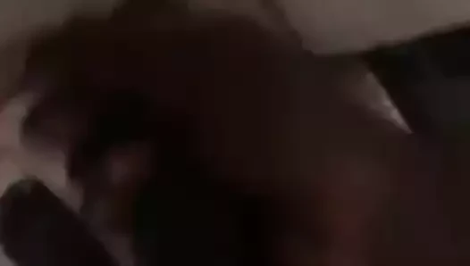 En iyi büyük yarak Sri Lankalı boğa ve usta