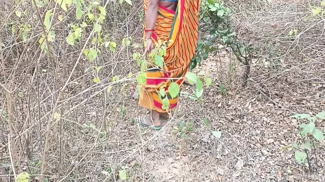 happened in the jungle with sister-in-law chudai
