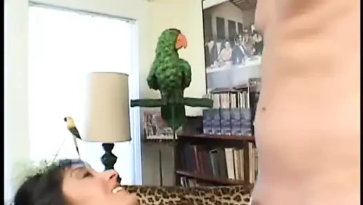 Gut bestücktes brünettes küken nimmt schwanz auf dem leoparden-sofa für ein bisschen sperma