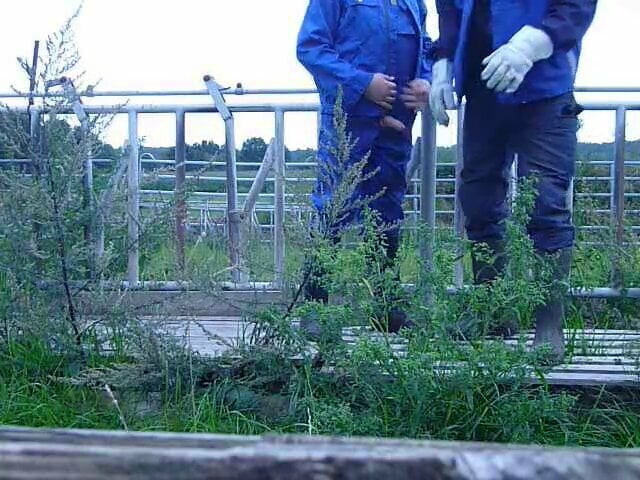 farmer spits off with colleagues