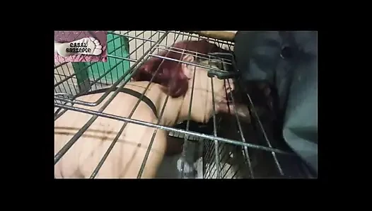 케이지에 넣어 모유 수유