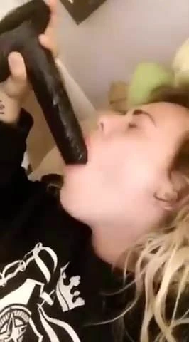 Swallows black Cock