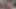 cumpilation