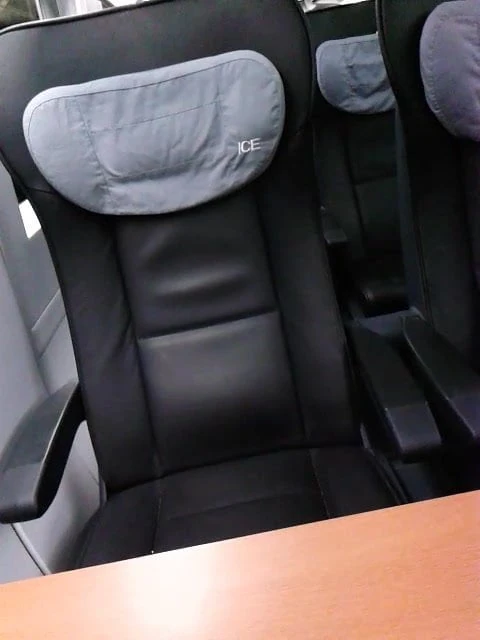 Wemo annoiato in treno
