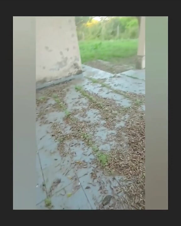 Fucking my stepcousin in abandoned house