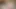 I started my Indian big ass stepsister with a morning blowjob babe