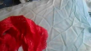 Cumming on lodger's red panties
