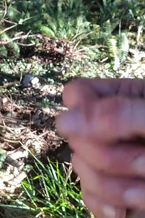 Old Man with a Huge Cock Went Out on a Hike and Squirted