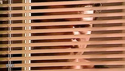 Грязные девушки, DVD