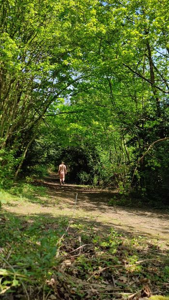 Maidstonenakedman geht nackt im Wald Bluebell Hill.