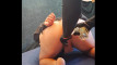 Pregled videozapisa