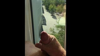 Paja en un hotel de Múnich - ¡en la ventana!