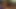 Black Cock Cum – BBW gets hot squirts of cum for Unique Pleasure