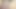 Mısırlı Arap sharmota kaltak, kirli konuşma hd porno