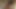 الملاك الآسيوي 24963