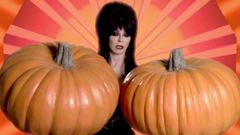 Elvira 2 quả bí ngô lớn