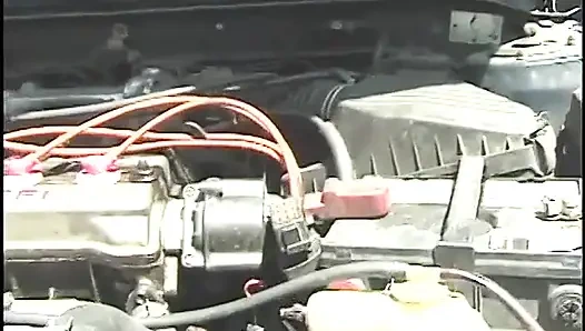 Pelacur kulit hitam punya cukup daging untuk dientot habis-habisan di gangbang berat ini