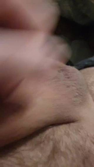 Shaved