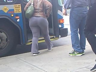ป้ายรถเมล์ donky