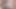 Bareback Creampie Handsfree Prostate Cum Twink