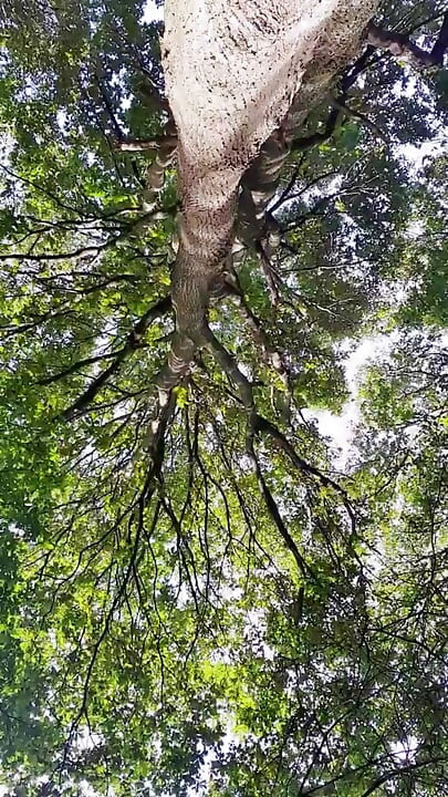 Slutboyben Cam4 Sexy Exhibitionist Pig Mega Hot Fun