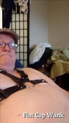 Pregled videozapisa