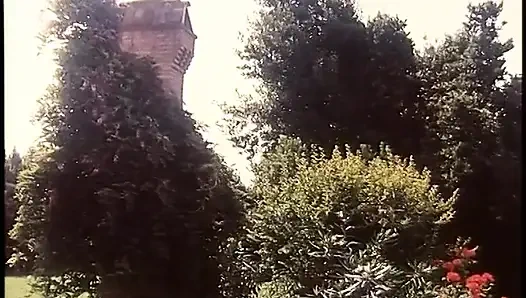 Горячая оргия на улице