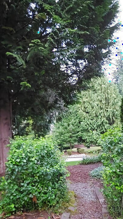 Backyard Nudity and Inside Morning Activities