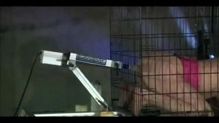 Gang bang robotique en cage