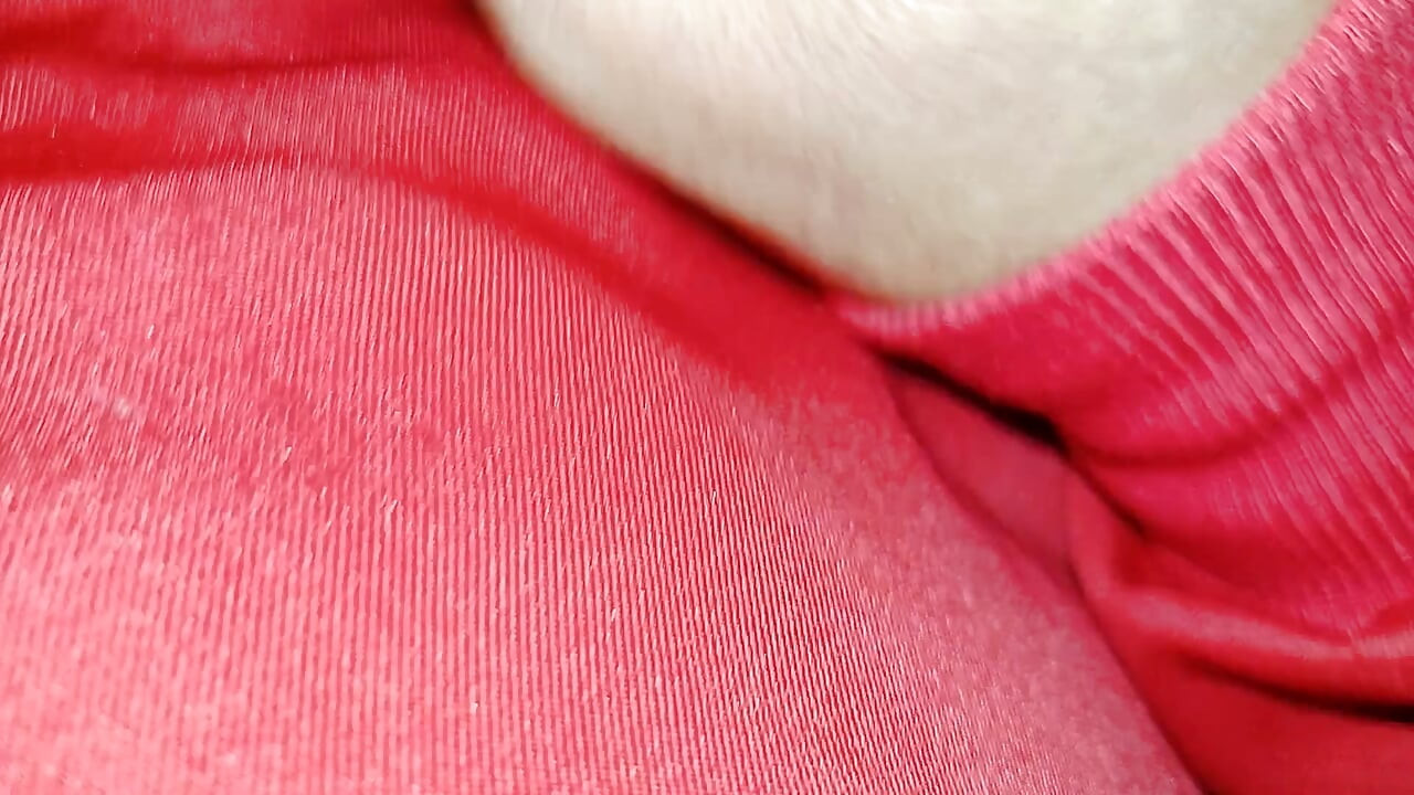 I and my My cock