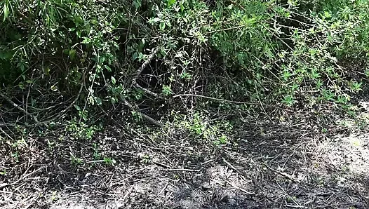 Video sehari penuh