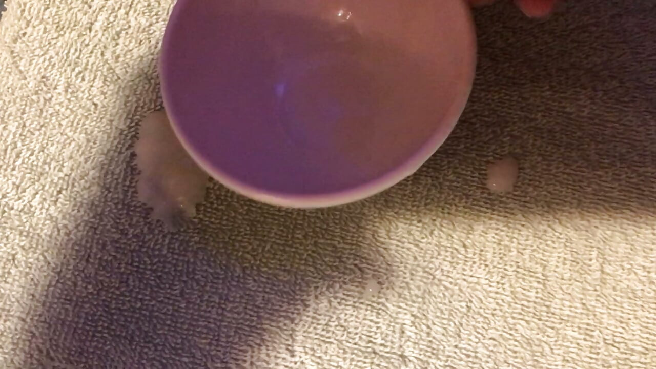 射出六天的精液