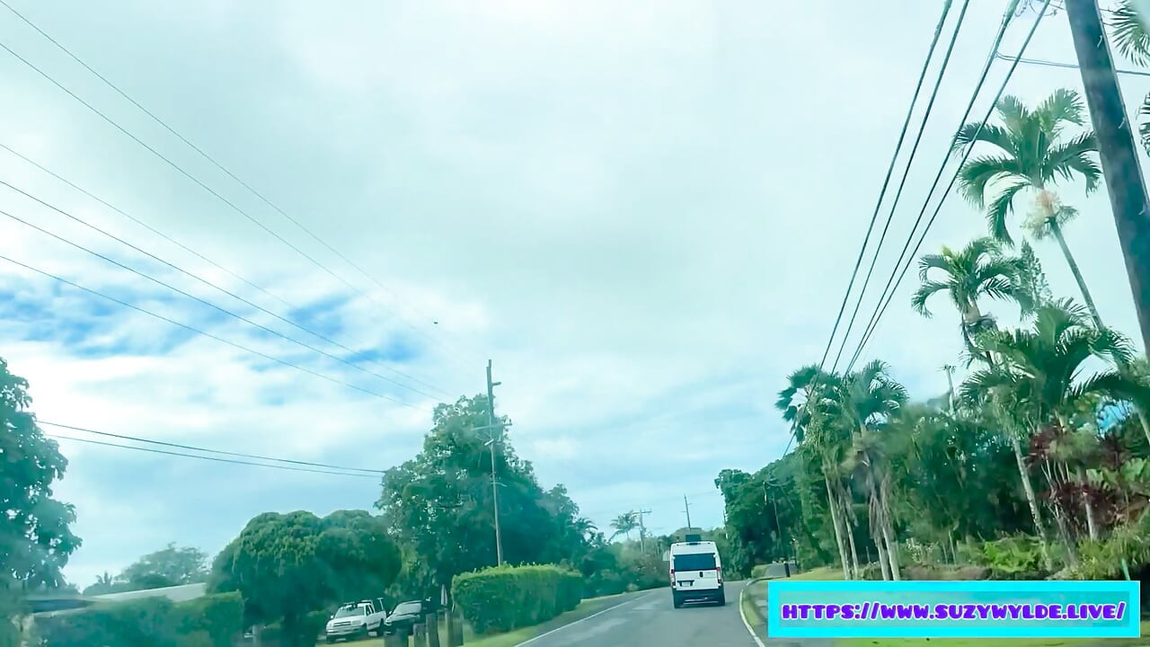 マウイ島ワイモクフォールズのスージー・ワイルドのためのハナへのSfwロードトリップ