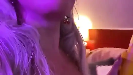 Stinkbugus Interruptus