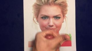 Eerbetoon aan Kate Upton