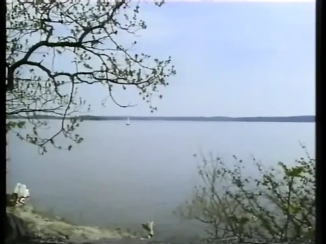 Svenska Folkets Sexvanor 4 (1994)