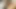 Çarpıcı seksi abanoz fahişe sürmek büyük beyaz horoz üzerinde ona favori kanepe