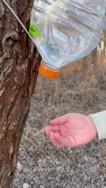 Survival Lifehack Bushcraft ✅ Survival Camping Lifehacks à l’extérieur, short de bushcraft