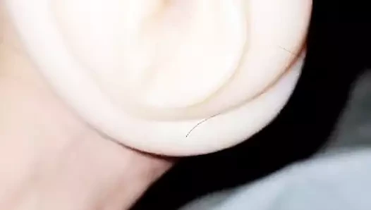 Cum içinde kedi
