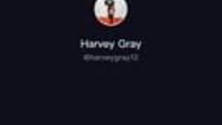 Harvey cagna brutta grigia 1
