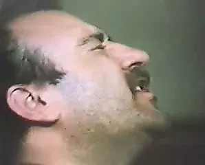 Miele Selvaggio 1984